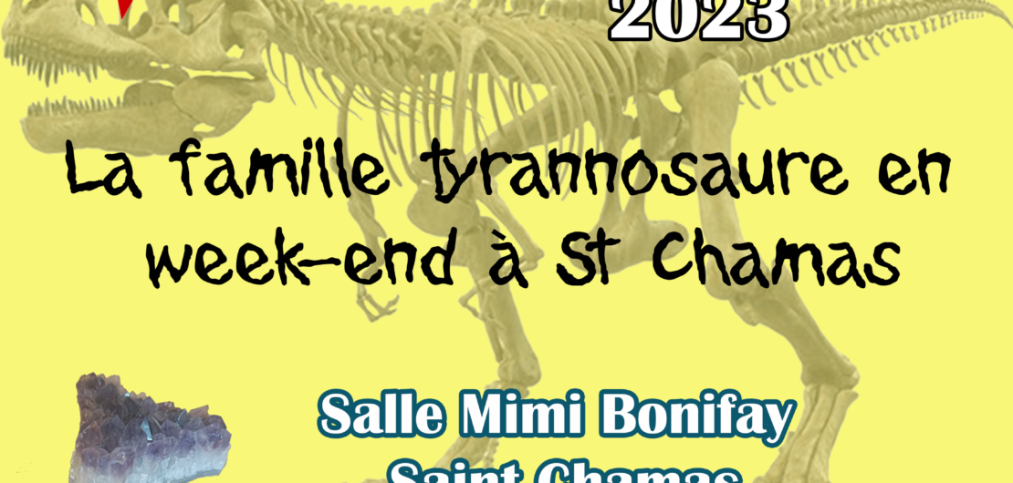45ème exposition minéraux et fossiles à Saint Chamas