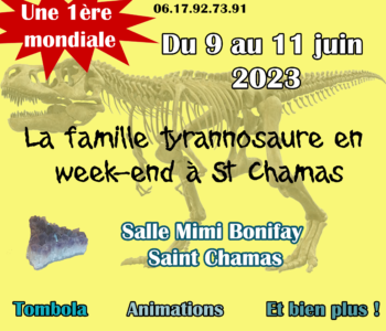 45ème exposition minéraux et fossiles à Saint Chamas